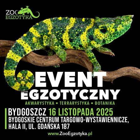 ZooEgzotyka - Bydgoszcz