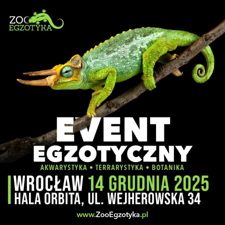 ZooEgzotyka Wrocław