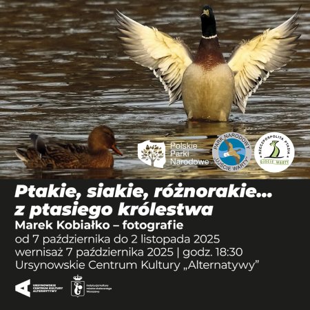 „Ptakie, siakie, różnorakie… z ptasiego królestwa” | fotografie - Marek Kobiałko