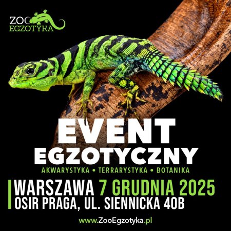 ZooEgzotyka Warszawa