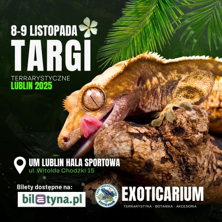 EXOTICARIUM Targi Terrarystyczne Lublin dwudniowe 8-9 listopada