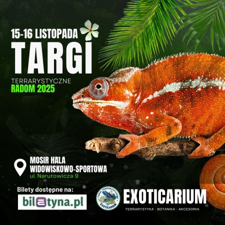 EXOTICARIUM Targi Terrarystyczne Radom - targi dwudniowe 15-16 listopada