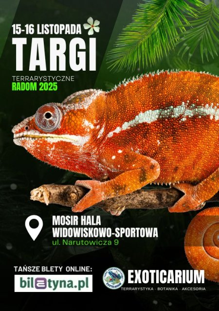 EXOTICARIUM Targi Terrarystyczne Radom - targi dwudniowe 15-16 listopada