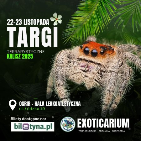EXOTICARIUM Targi Terrarystyczne Kalisz dwudniowe 22-23 listopada