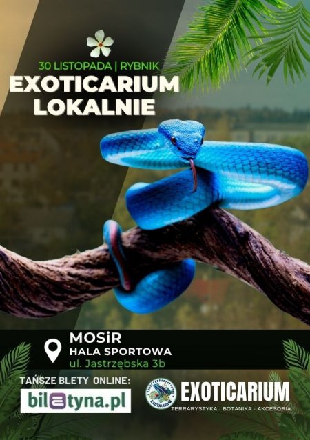 EXOTICARIUM LOKALNIE Targi Terrarystyczne Rybnik
