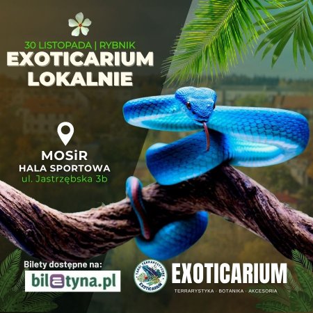 EXOTICARIUM LOKALNIE Targi Terrarystyczne Rybnik