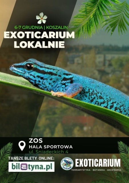 EXOTICARIUM LOKALNIE Targi Terrarystyczne Koszalin dwudniowe 6-7 grudnia