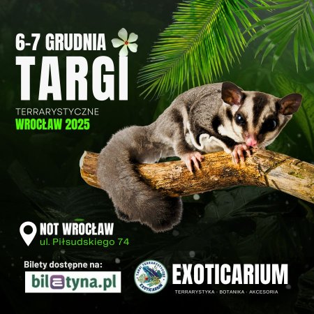 EXOTICARIUM Targi Terrarystyczne Wrocław dwudniowe 6-7 grudnia