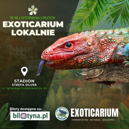 EXOTICARIUM LOKALNIE Targi Terrarystyczne Płock dwudniowe 15-16 listopada