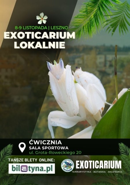 EXOTICARIUM LOKALNIE Targi Terrarystyczne Leszno dwudniowe 8-9 listopada