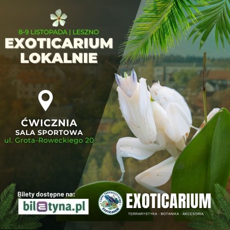 EXOTICARIUM LOKALNIE Targi Terrarystyczne Leszno dwudniowe 8-9 listopada