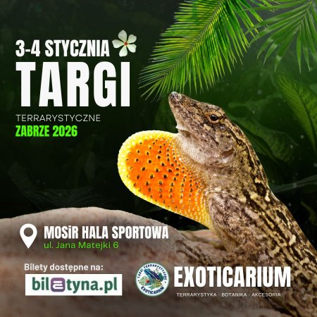 EXOTICARIUM Targi Terrarystyczne Zabrze dwudniowe 3-4 stycznia