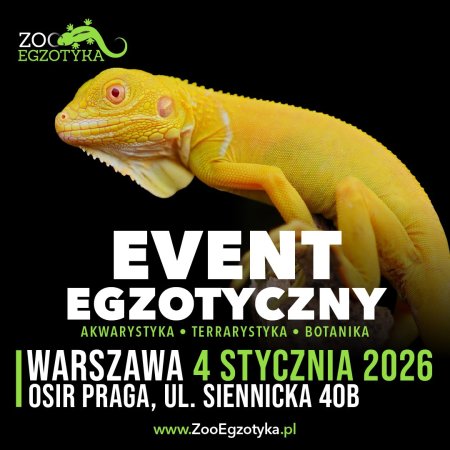 ZooEgzotyka Warszawa