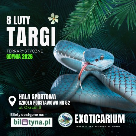 EXOTICARIUM Targi Terrarystyczne Gdynia 8 luty