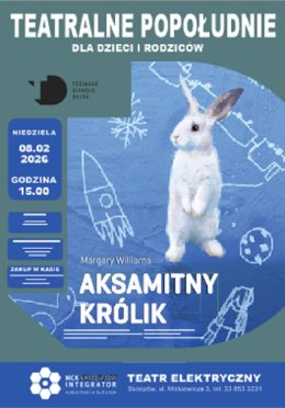 Teatralne Popołudnie dla dzieci i rodziców: Aksamitny królik