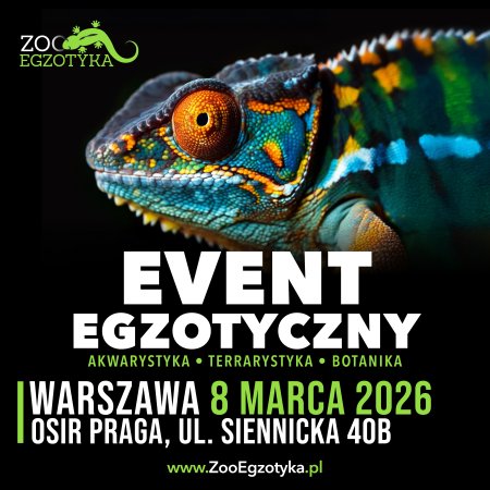 ZooEgzotyka Warszawa
