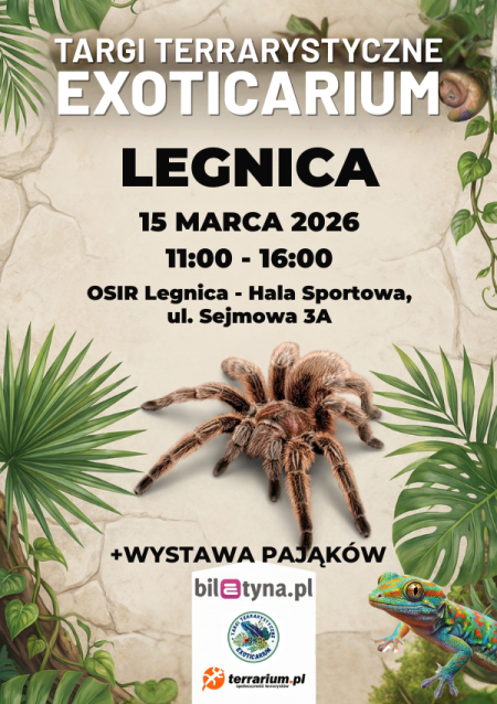 Legnica - Targi Terrarystyczne Exoticarium + Wystawa Pająków