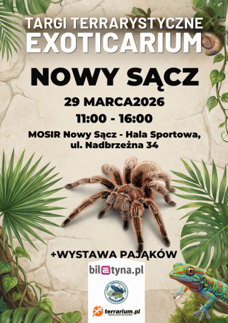 Nowy Sącz - Targi Terrarystyczne Exoticarium + Wystawa Pająków