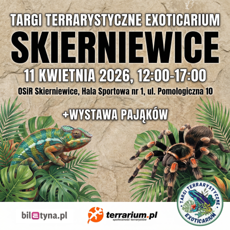 Skierniewice - Targi Terrarystyczne Exoticarium + Wystawa Pająków