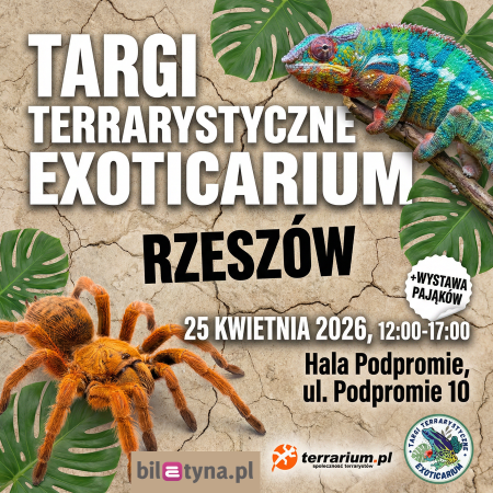 Rzeszów - Targi Terrarystyczne Exoticarium + Wystawa Pająków