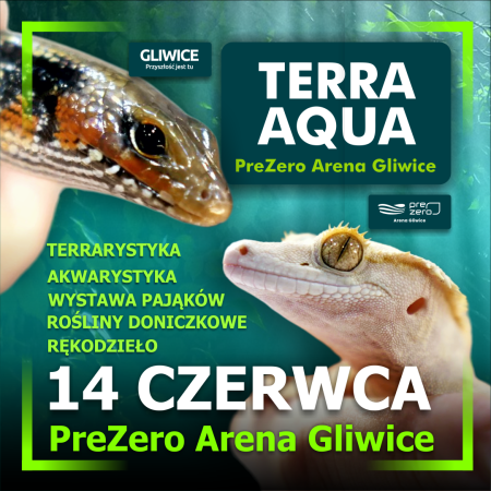 TERRA  AQUA GLIWICE / TARGI AKWARYSTYKI / PIĘKNO RĘKODZIEŁA  / WYSTAWA PAJĄKÓW