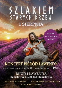 Szlakiem Starych Drzew Wśród Lawendy