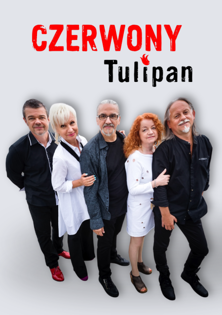 Czerwony Tulipan