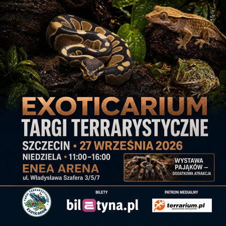 Szczecin - Targi Terrarystyczne Exoticarium + Wystawa Pająków