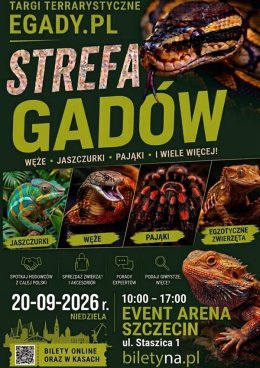 Event terrarystyczny EGADY i Strefa Twórców Handmade
