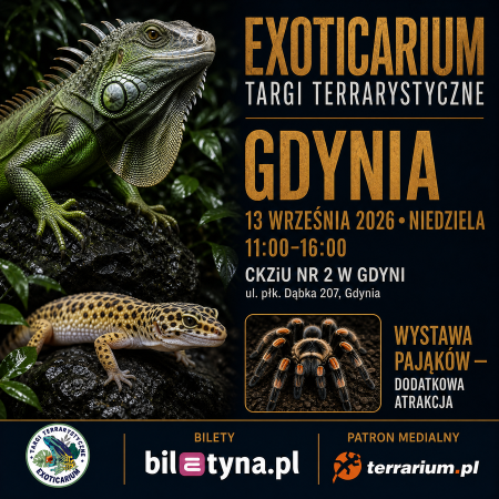 Gdynia - Targi Terrarystyczne Exoticarium + Wystawa Pająków