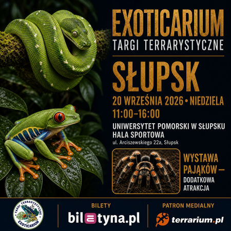 Słupsk - Targi Terrarystyczne Exoticarium + Wystawa Pająków