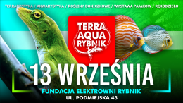 TERRA AQUA RYBNIK / TARGI AKWARYSTYKI /