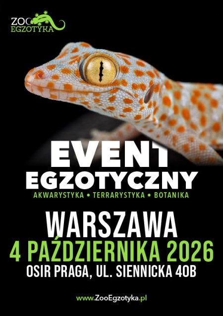 ZooEgzotyka Warszawa