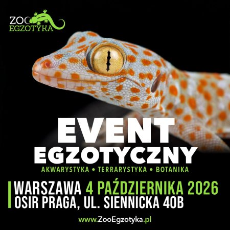 ZooEgzotyka Warszawa