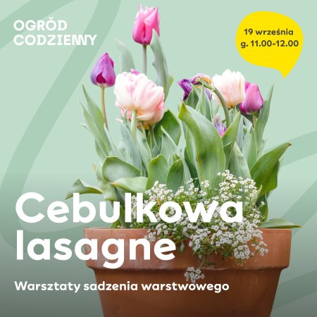 Cebulkowa lasagne - warsztaty sadzenia warstwowego