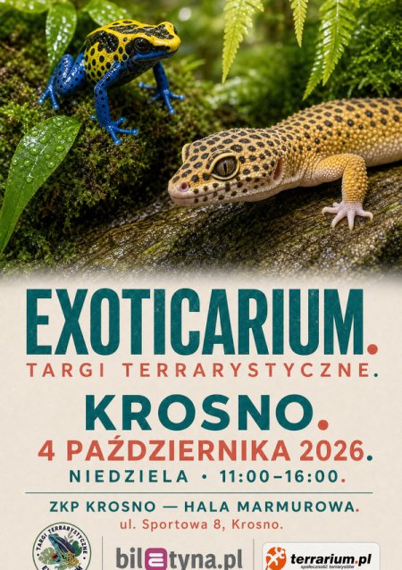 Krosno - Targi Terrarystyczne Exoticarium + Wystawa Pająków