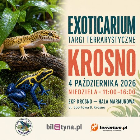 Krosno - Targi Terrarystyczne Exoticarium + Wystawa Pająków