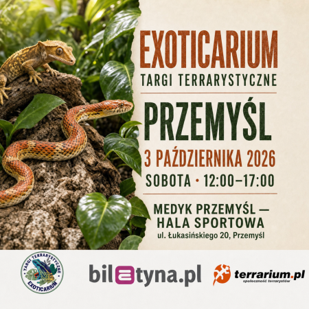 Przemyśl - Targi Terrarystyczne Exoticarium + Wystawa Pająków