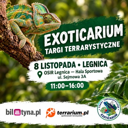 Legnica - Targi Terrarystyczne Exoticarium + Wystawa Pająków