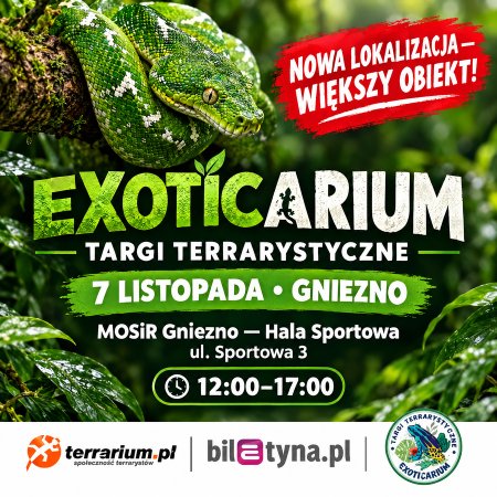 Gniezno - Targi Terrarystyczne Exoticarium + Wystawa Pająków