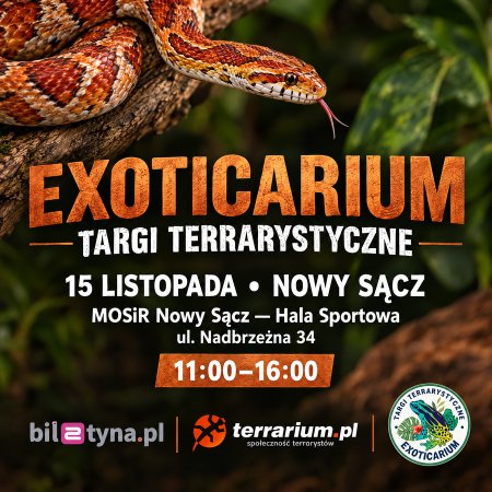 Nowy Sącz - Targi Terrarystyczne Exoticarium + Wystawa Pająków