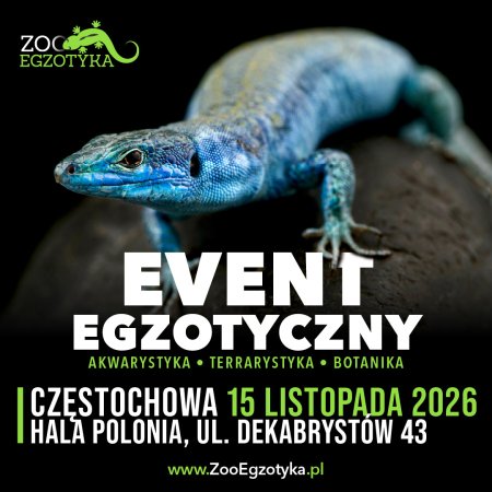 ZooEgzotyka - Częstochowa