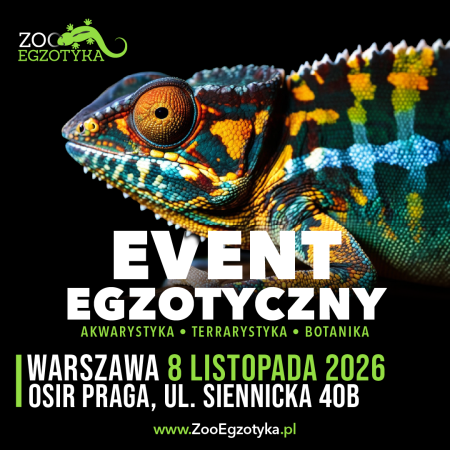 ZooEgzotyka Warszawa