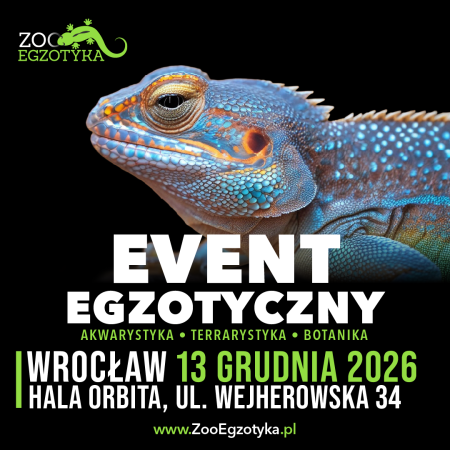 ZooEgzotyka Wrocław