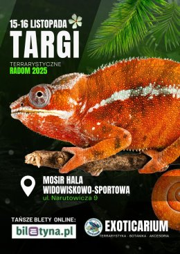 EXOTICARIUM Targi Terrarystyczne Radom - targi dwudniowe 15-16 listopada