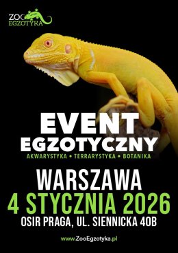 ZooEgzotyka Warszawa