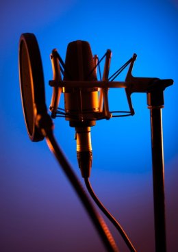 Mistrzowie dubbingu 10+